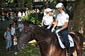 Polizeidirektion   136